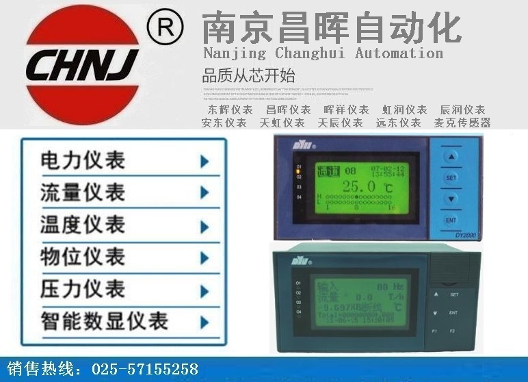 东辉仪表DY2000(FEL)液晶显示四通道全分度号…