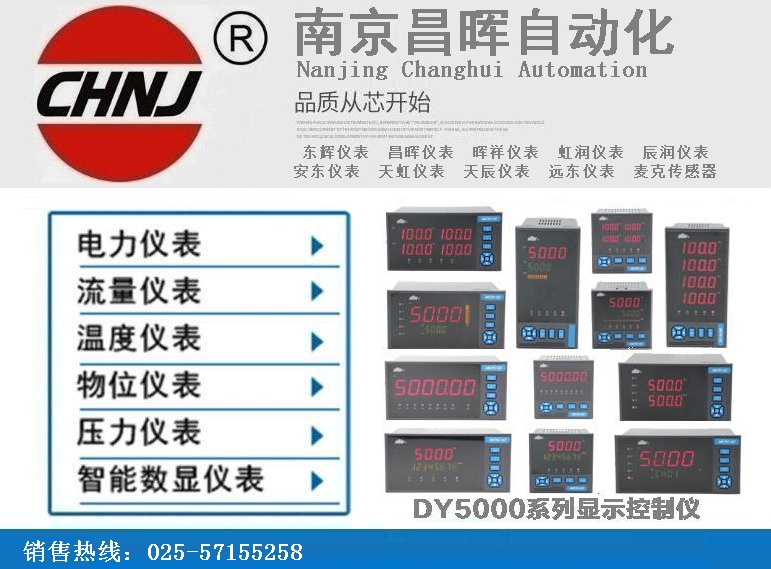 东辉仪表DY5000(Z)系列数字显示仪表