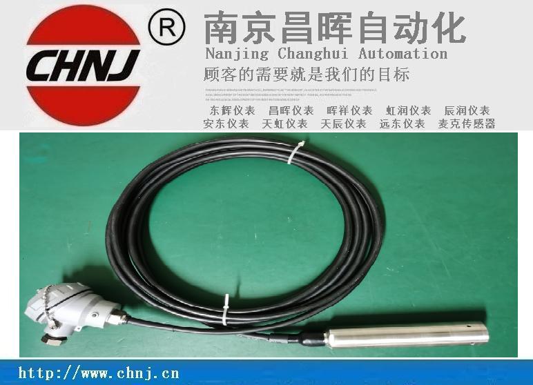 DYWT610LI 投入式静压液位变送器-东辉仪表